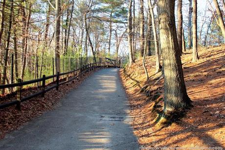 Walden Pond State Reservation, MA