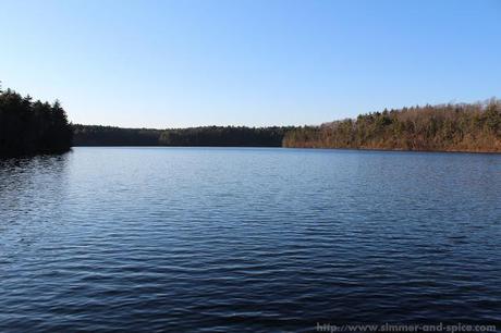 Walden Pond State Reservation, MA