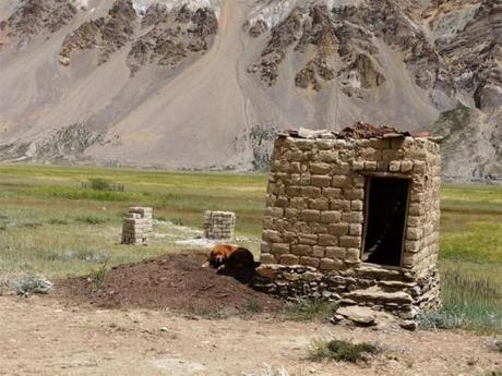 Himalayan villages: Chumikgiarsa at 4000m