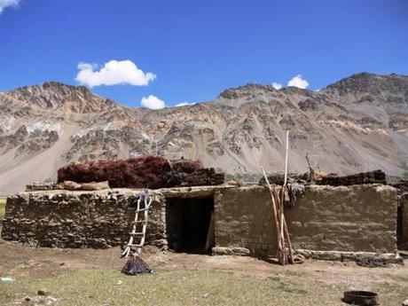 Himalayan villages: Chumikgiarsa at 4000m