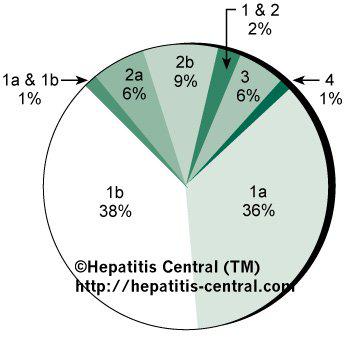 The Skinny on the Hepatitis C Market