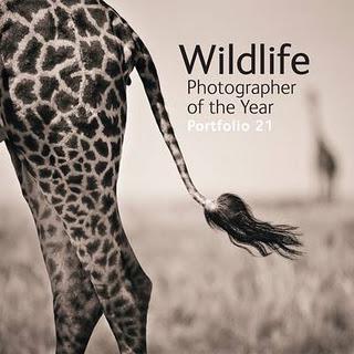 Gift of the Day: Wildlife Photographer of the Day