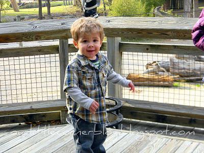 Wordless Wednesday... a day at the zoo {part 3}