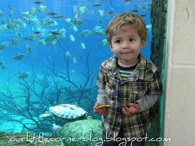 Wordless Wednesday... a day at the zoo {part 3}