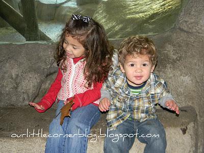 Wordless Wednesday... a day at the zoo {part 3}