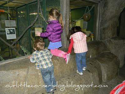 Wordless Wednesday... a day at the zoo {part 3}