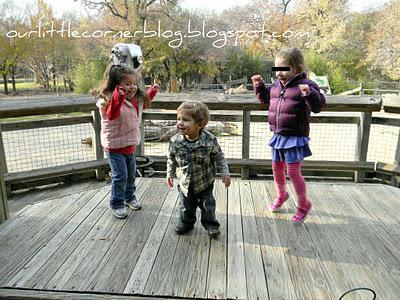 Wordless Wednesday... a day at the zoo {part 3}