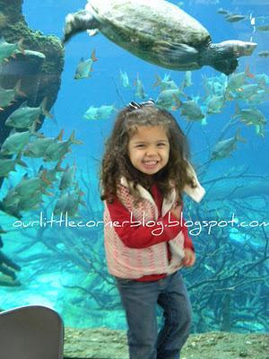 Wordless Wednesday... a day at the zoo {part 3}