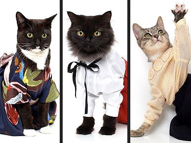 Fashionable Feline Calenders