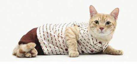 Fashionable Feline Calenders