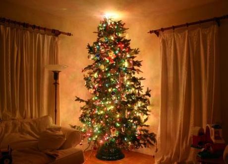 Christmas tree syndrome: Could your tree be the cause of Yuletide health complaints?