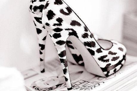 Fashion Friday Animal Obsession