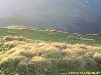 Heaven on Earth (Kedarnath)