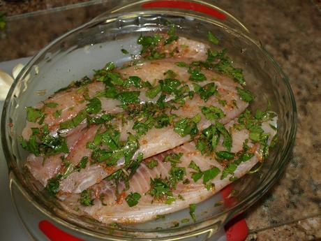 Tilapia Fillets in Spanish Sauce