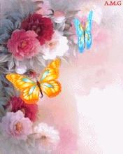 Butterflys Flowers