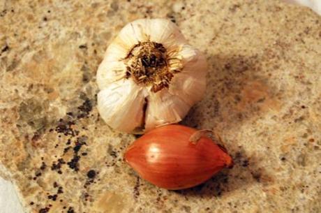 Onion and Shallot