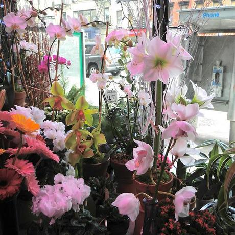 A Visit to the Florist