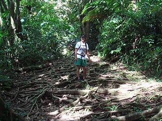 Middleham Falls, Dominica, Caribbean
