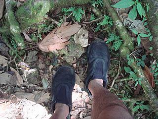 Middleham Falls, Dominica, Caribbean