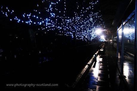 Photo - Christmas lights on Princes Street, Edinburgh