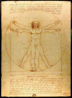 Balance: the Human Body, Economics, Evolution and the Link to Sustainability
