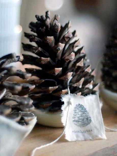 Pine Cone Fire Starter