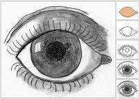 M.C. Escher Eye Drawing