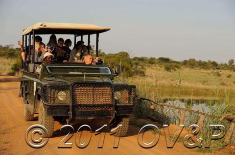 Safari vehicle with photographers at sunrise