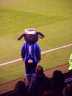 On the eleventh day of Christmas….The best Mascots