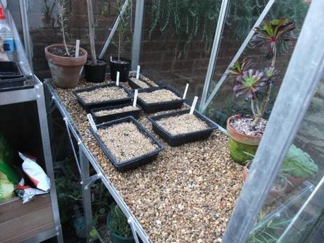 Greenhouse ready for action