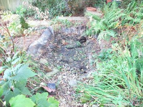 The new 'Bog' Garden - September 2011