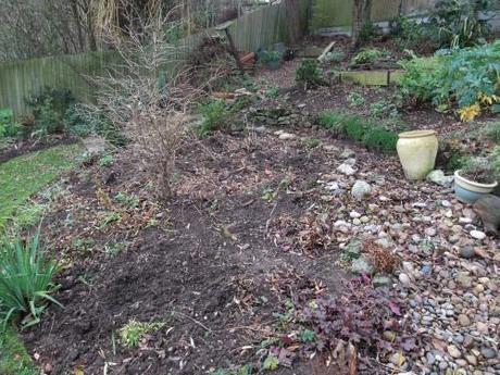 The new 'Bog' Garden - December 2011