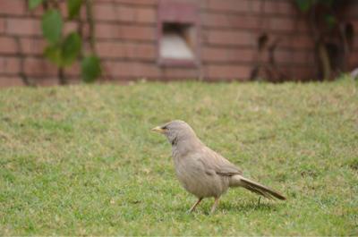 January 2, 2012 (365 Day Photo Challenge)