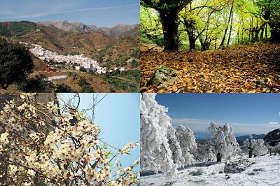 Sierra de las Nieves awarded by the European Union