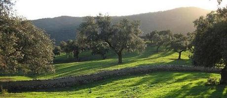 Sierra de Aracena (Huelva)