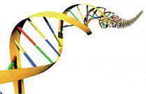 Does conservation biology need DNA barcoding?