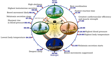 How Sleep Pattern Improves Class Record?