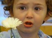 Frugal Fun: Would Want Live House Like This?