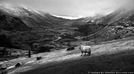 Interview With Welsh Photographer Graham Williams