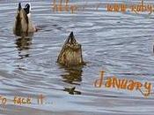 Busting Blogger Blues