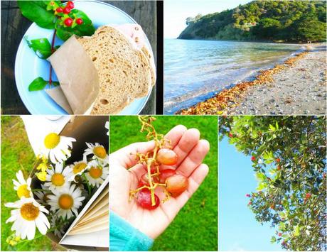 The Picnic by the Sea --My Little Trip Around New Zealand and Some News