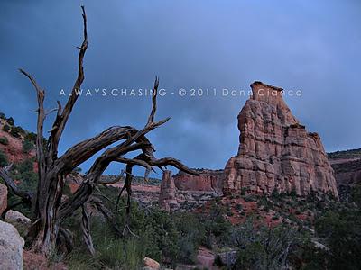 2011 - June 15th - Wedding Canyon, Colorado National Monument