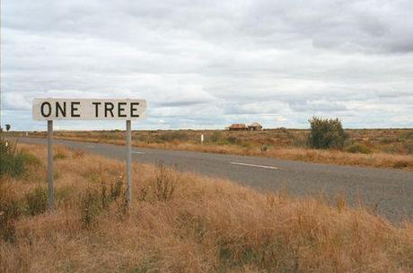 A Road Trip From The Outback To The Riverina