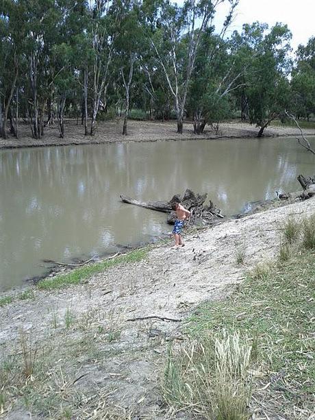 A Road Trip From The Outback To The Riverina