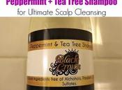 Reasons Loving Black Crown's Peppermint Tree Shampoo Natural Hair Care