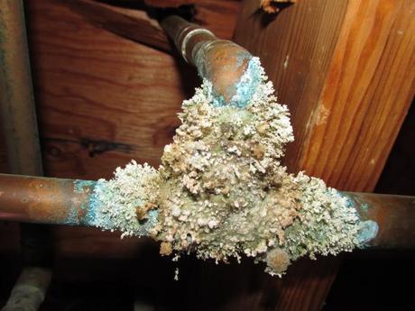 Copper joint calcified