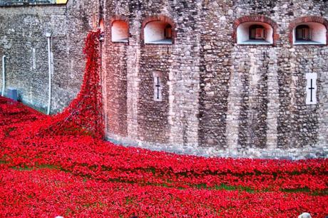 2014 in 12 Blog Posts: October – Poppies At The Tower in Words & Pictures