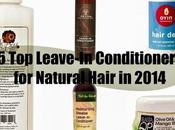 Most Loved Leave-In Conditioners Natural Hair 2014