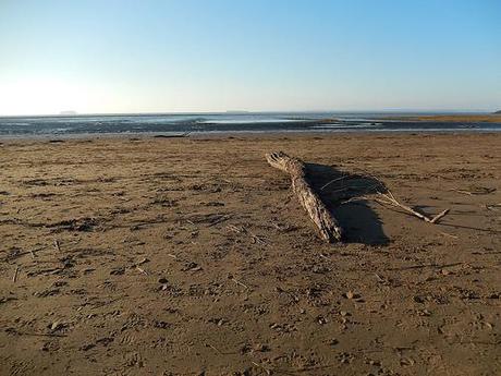 Sunday, Sand and Winter Sun