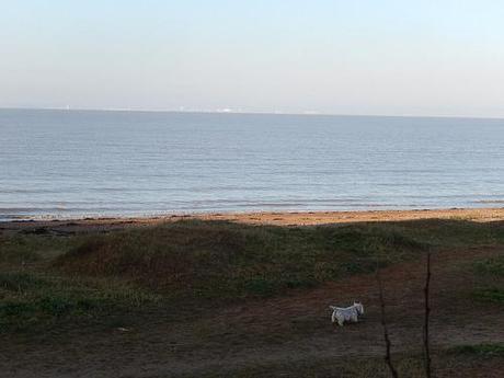 Sunday, Sand and Winter Sun